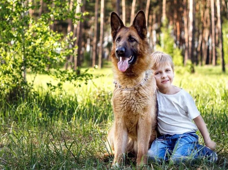 Reinkarnacja psa – historie i przekonania o powrocie ukochanych czworonogów